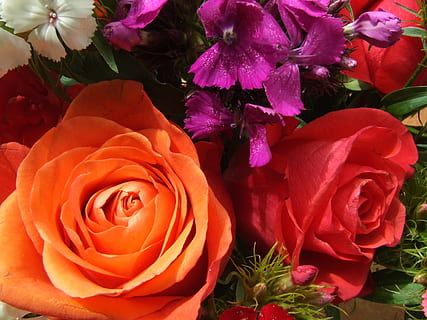 经典语录文案爱情简短