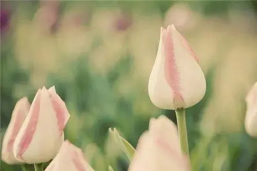 没方向的句子文案