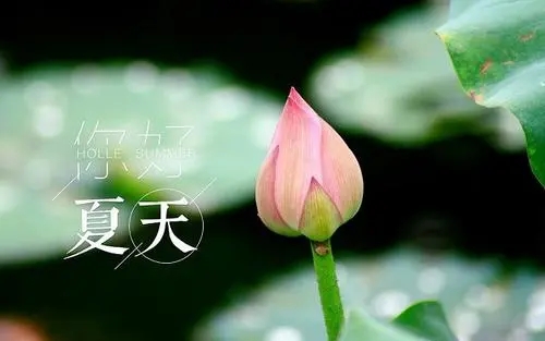 有关夏天的短句子文案大全
