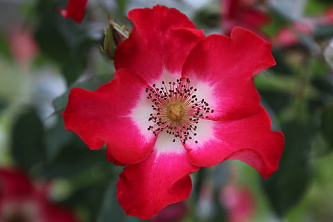 形容辞旧迎新的短句