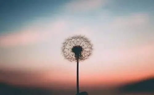 励志句子文案大全正能量学生