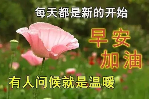 给朋友问候语及关心话