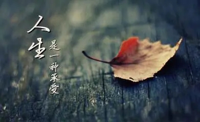 人生感悟一句话经典