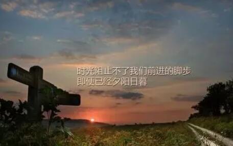 不后悔对任何人好语录文案