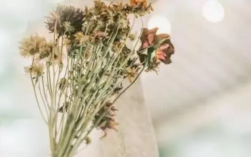 人心换不来人心的说说文案