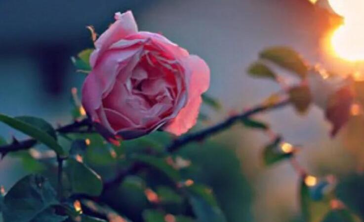 武汉的心情说说文案