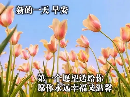 早安最好的祝福语图片大全