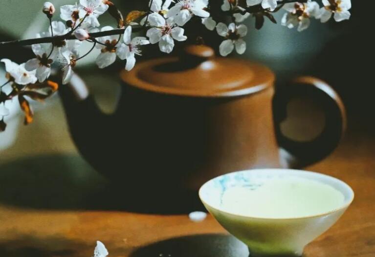 赞美小花的唯美句子文案