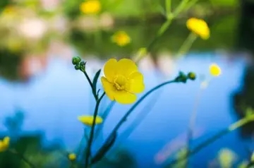 人生美好的句子文案