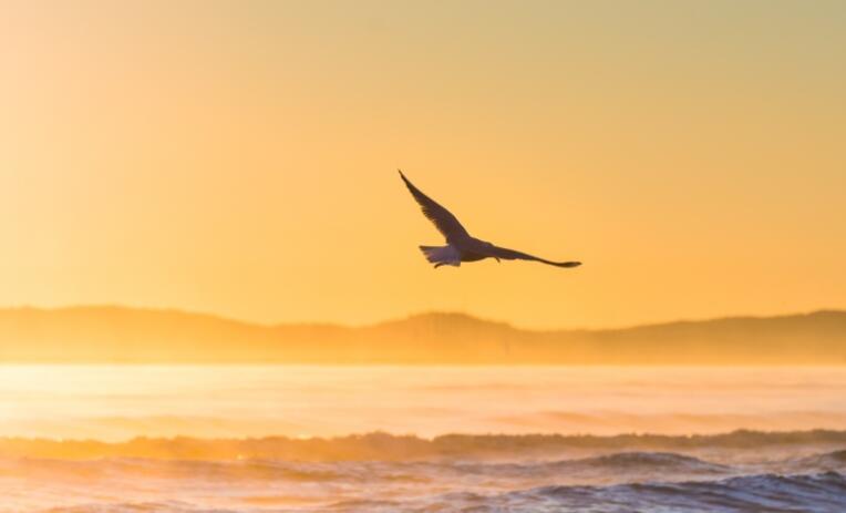 关于心烦的句子文案说说心情