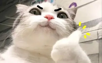 加油吧少年经典语录文案