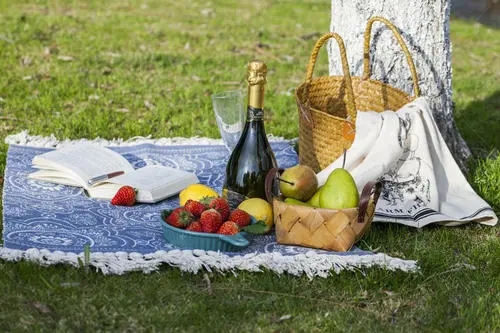 春天野餐发朋友圈的句子文案