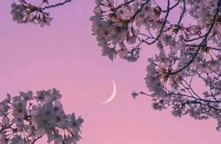 失恋的挽回的感人句子文案