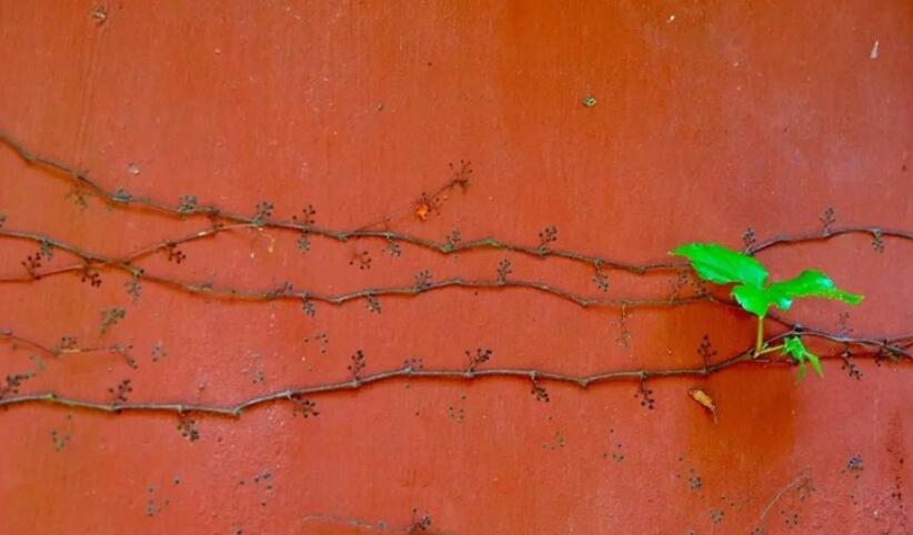 佛说奋斗的句子文案