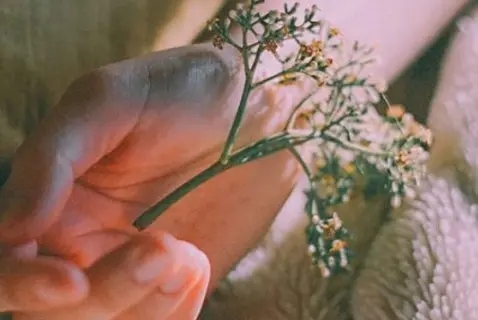 微信个性签名温柔简短