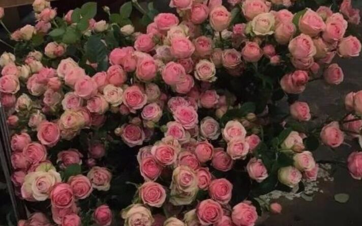 暗恋不明显的说说文案