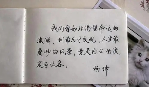 渴望女人的句子文案