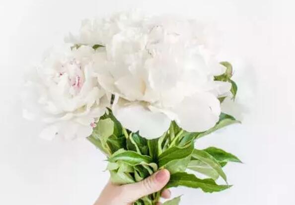 不懂珍惜不配拥有的句子文案