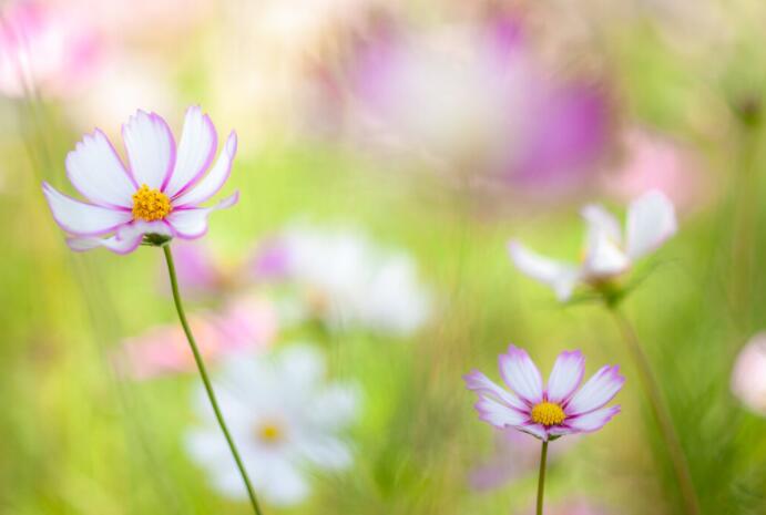 吃亏记到教训的话