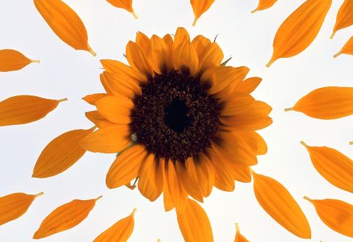 课外读书笔记好词好句文案