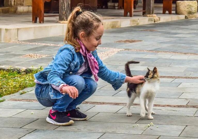 小学生积极向上的句子文案