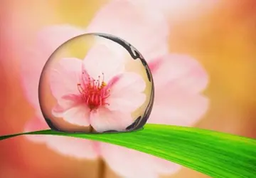 十个字的个性签名霸气