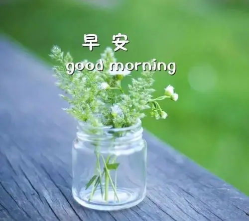 2021最新早安语录文案