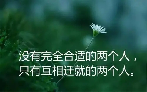 人生感悟一句话经典