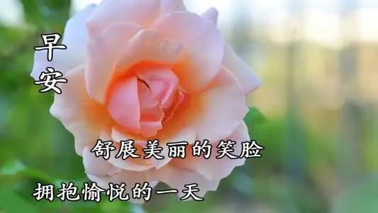 对别人说早上好的句子文案