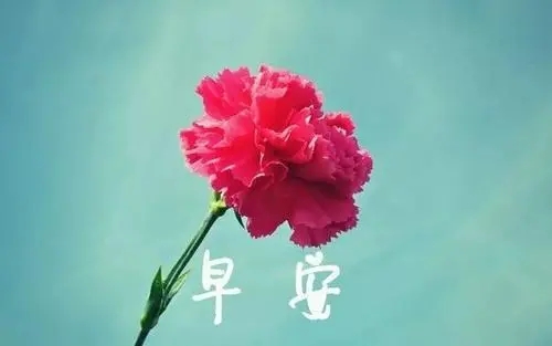 简短微信群早安问候语