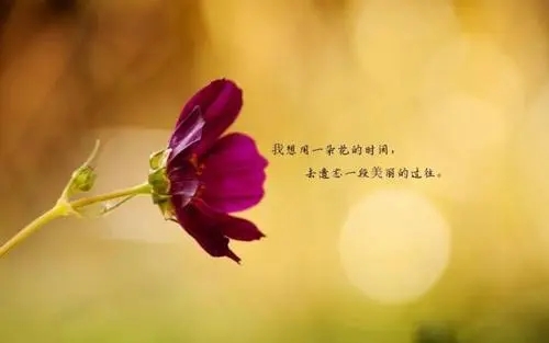 适合发快手的句子文案伤感