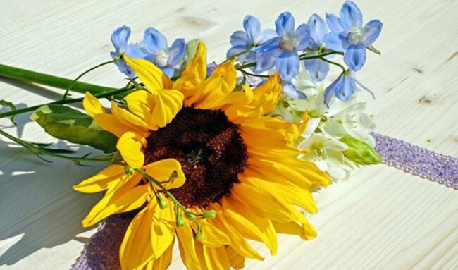 感悟人生一段话