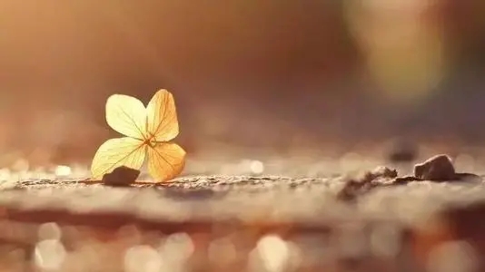 好好做人的语录文案