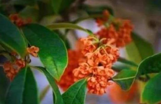 感悟的经典句子文案