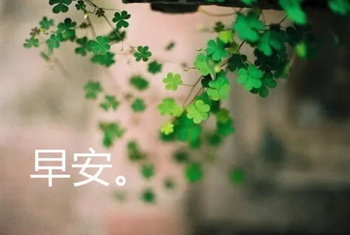 早安心语励志