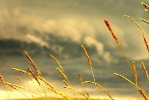 旅行的意义人生的感悟