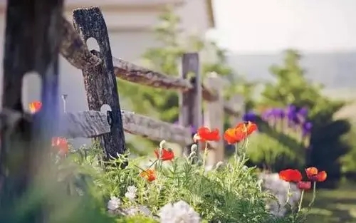 人生何处不相逢唯美经典句子文案