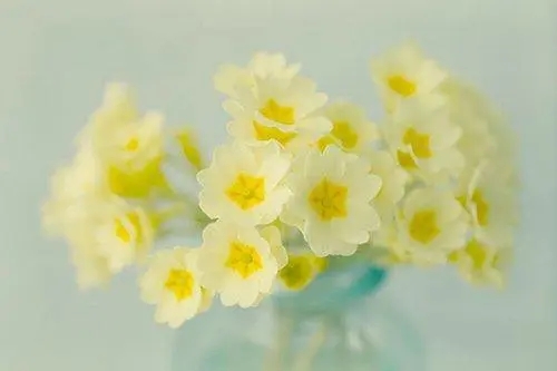 春天治愈的句子文案