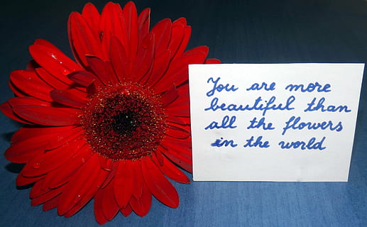 关于等待一个人的情感语录文案