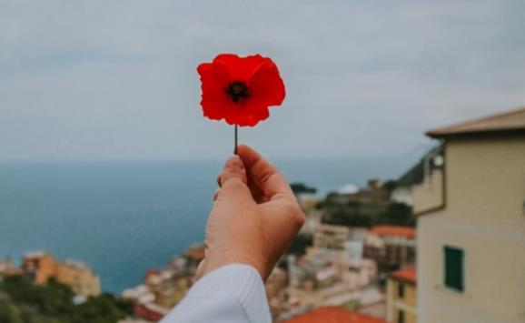 关于努力的心灵鸡汤的文章