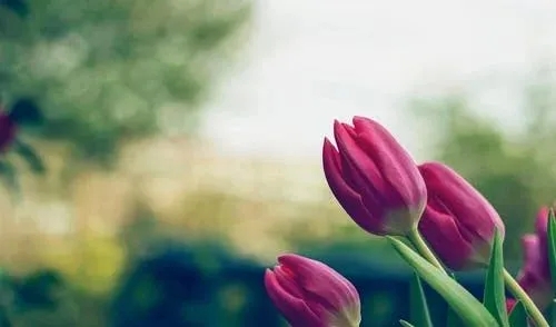 人生就是一场轮回句子文案