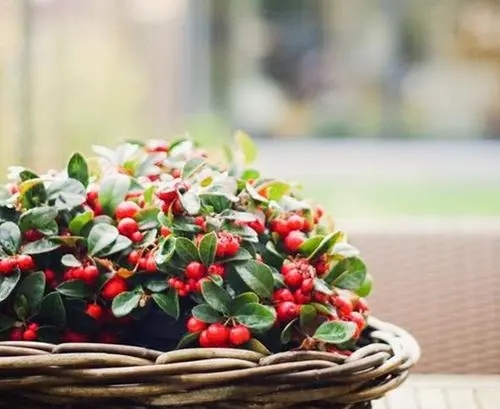 中午午安的暖心句子文案朋友圈