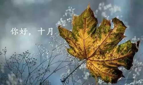 十月你好说说文案心情短语