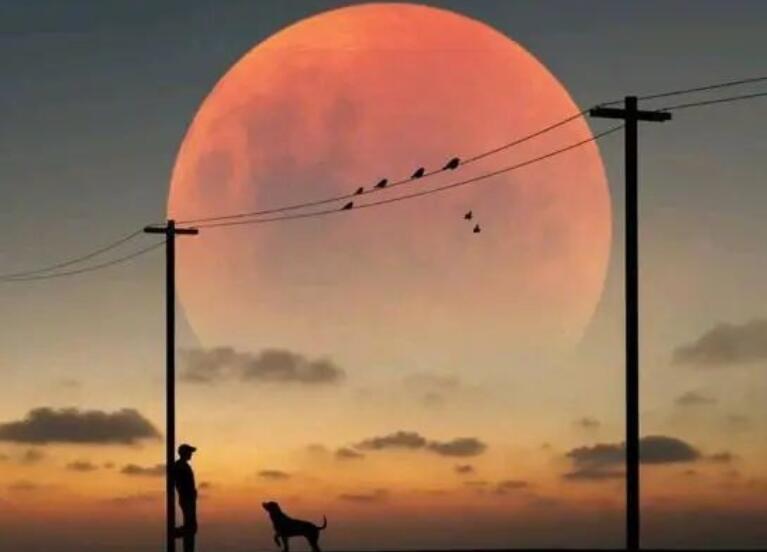 人生感悟的句子文案图片伤感