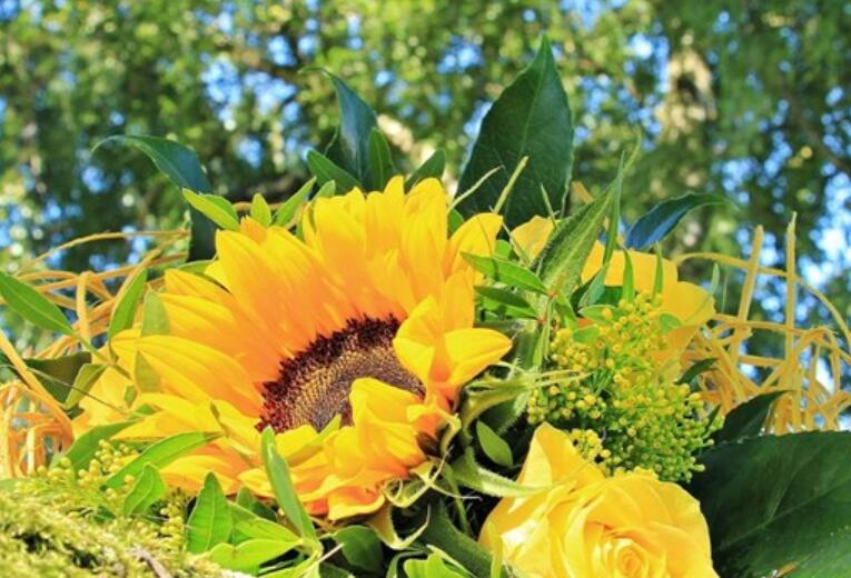 心存感恩的经典语句文案