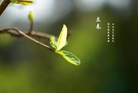 立春文案8字