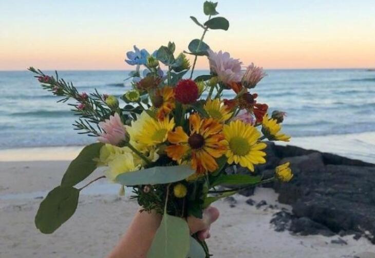 每天正能量的句子文案经典语句