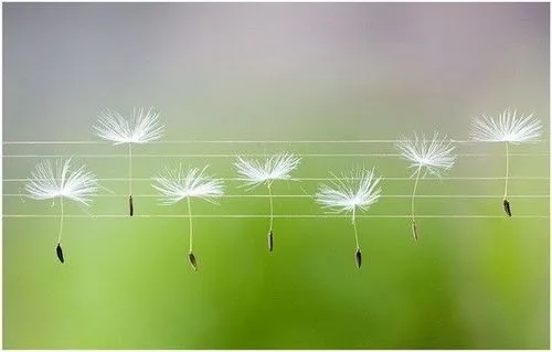 吸取教训不再犯的句子文案