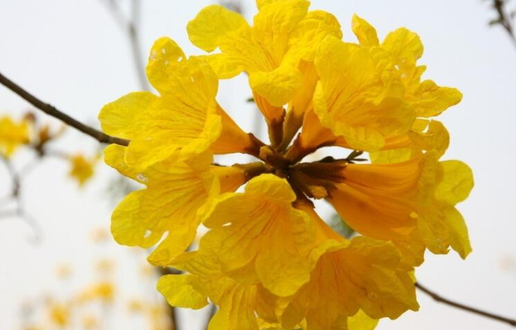 周一工作群早安问候语