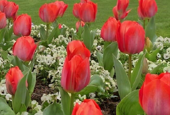 ins风签名语录文案